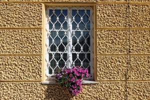 home defensive strategies include window treatments